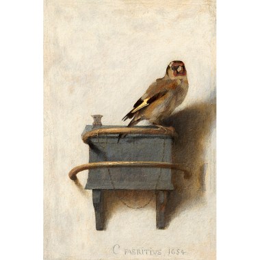 Het puttertje, Carel Fabritius